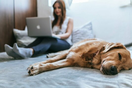 Hund und Frau im Home Office