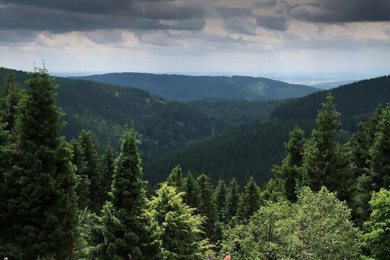 Thüringer Wald