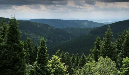 Thüringer Wald