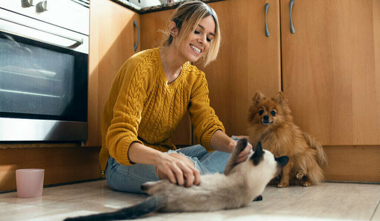 Frau mit Katze und Hund