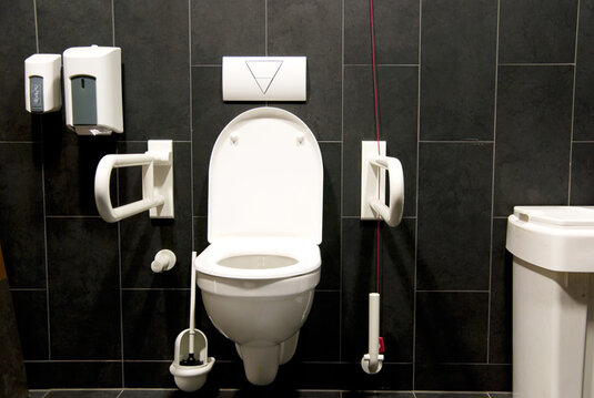 Fotolia_27390554_Subscription_L Toilette