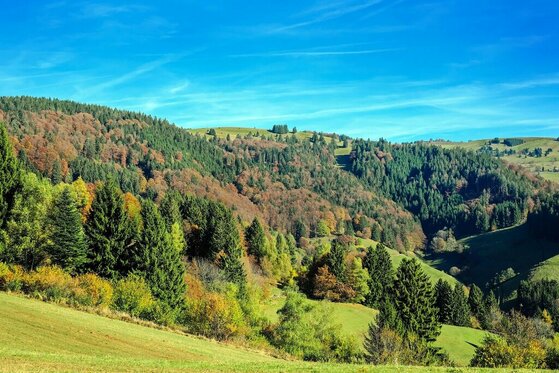 Schwarzwald