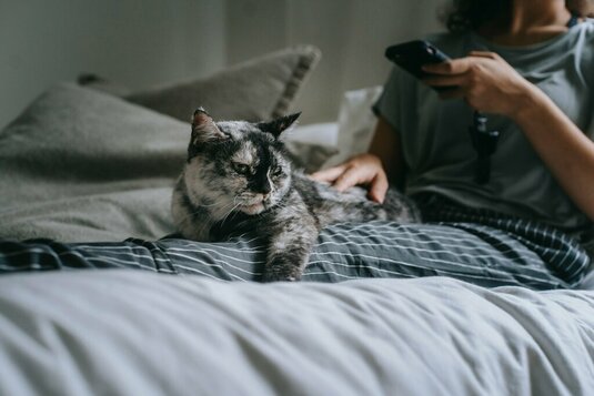 Katze und Frau genießen die Zeit im Bett