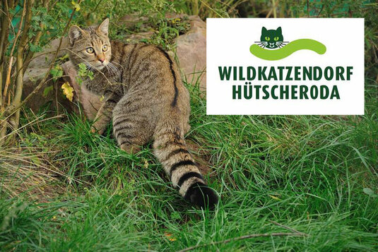 Wildkatzendorf Hüschteroda Logo