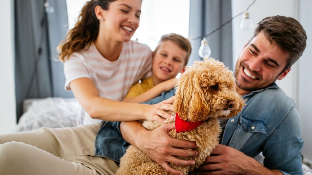 Familienleben im Bungalow mit Nähe und Rückzug Fröhliche Familie spielt gemeinsam mit Hund im Wohnzimmer und zeigt das harmonische Zusammenleben in einem familienfreundlichen Bungalow mit offenem Grundriss
